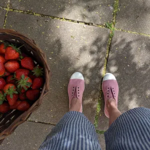 Lola Dusty Pink Cotton Plimsolls